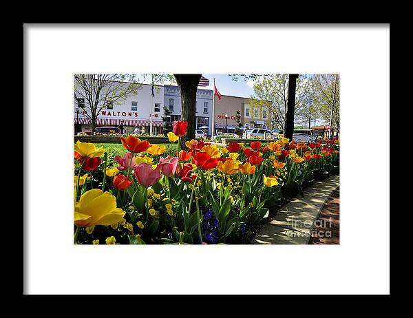 Bentonville Framed Print featuring the photograph Tulips in the Spring #1 by Nava Thompson
