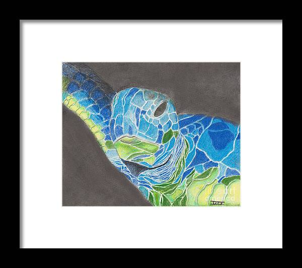 Sea Turtle Framed Print featuring the drawing Turtle in Blue and Green by David Jackson