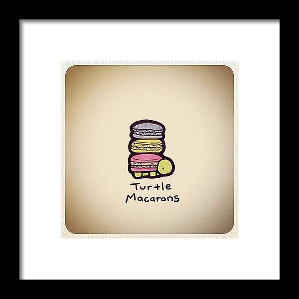  Framed Print featuring the photograph Turtle Macarons by Turtle Wayne