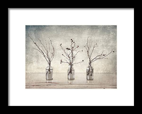 Twigs Framed Print featuring the photograph Twigs in Bottles by Carol Leigh
