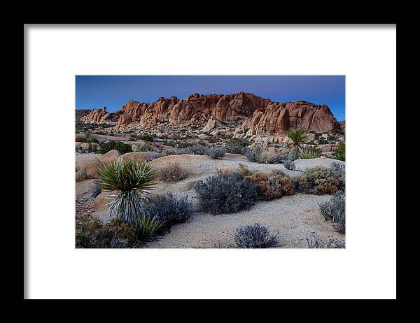 California Framed Print featuring the photograph Twilight at Joshua Tree by Eric Foltz