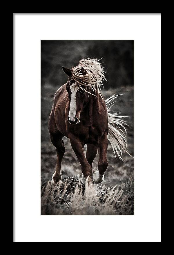 Twilight Challenge Framed Print featuring the photograph Twilight Challenge by Wes and Dotty Weber