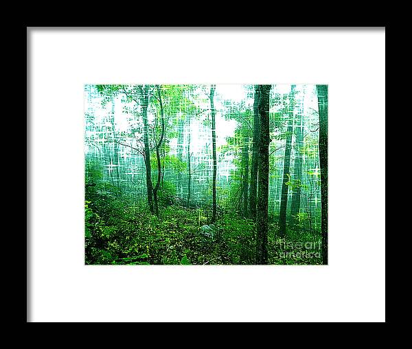  Framed Print featuring the photograph Twilight Forest by Lorraine Heath