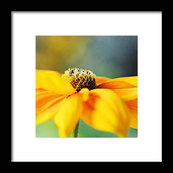 Twirling Framed Print featuring the photograph Twirling by Katherine White