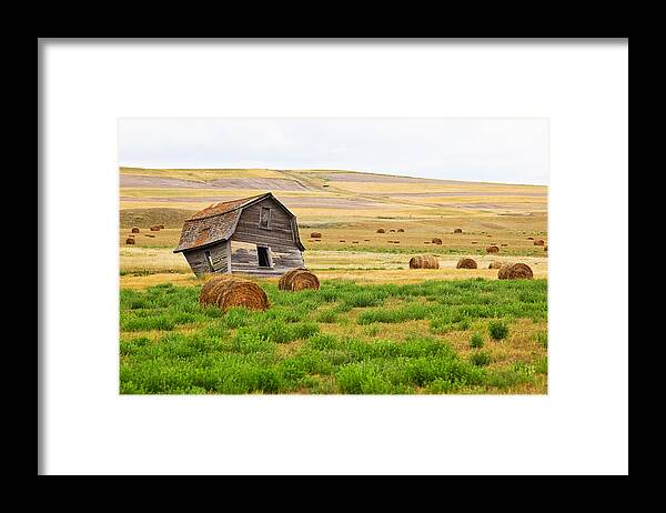 Light Framed Print featuring the photograph Twisted Barn On Canadian Prairie, Big by Ken Gillespie