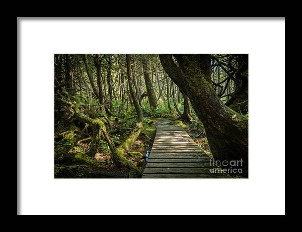 Bontanical Beach Framed Print featuring the photograph Twisted Forest by Carrie Cole