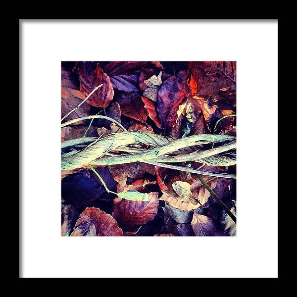 Twisted Vines Framed Print featuring the photograph Twisted Vines by Nic Squirrell