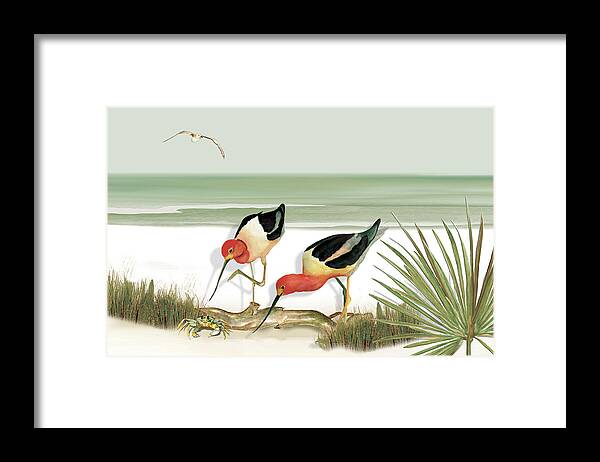 Avocets Framed Print featuring the painting Two Avocets by Anne Beverley-Stamps