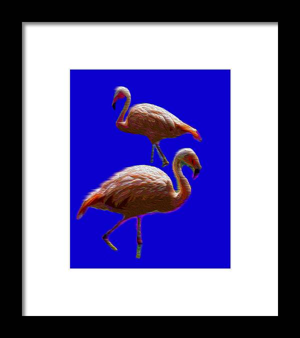 Flamingos Framed Print featuring the photograph Two Birds by Jerry Hart