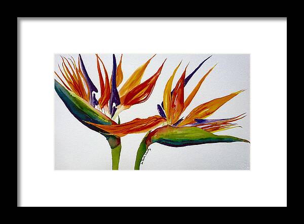 Watercolor Painting Framed Print featuring the painting Two Birds of Paradise by Susan Duda