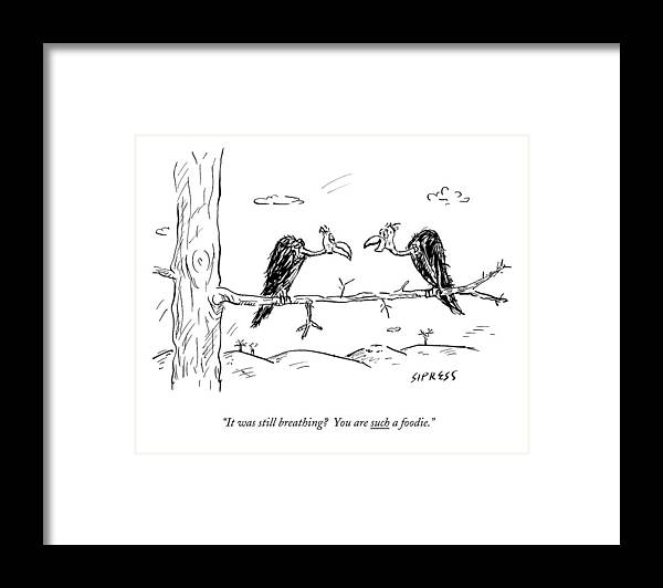 Birds Of Prey Framed Print featuring the drawing Two Buzzards Sit And Talk On A Branch by David Sipress