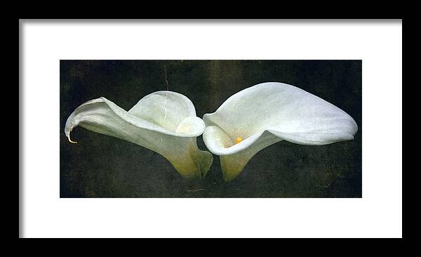  Calla Lilly Framed Print featuring the photograph Two by Cathie Tyler