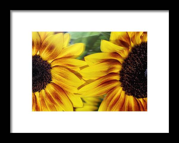 Beautiful Framed Print featuring the photograph Two Freshness by Stelios Kleanthous