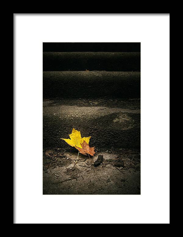 Leaf Framed Print featuring the photograph Two Leaves on a Staircase by Scott Norris