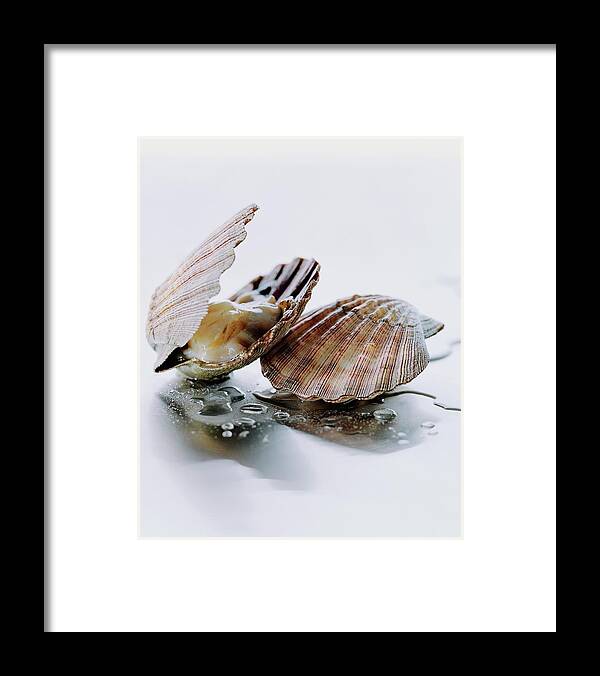 Cooking Framed Print featuring the photograph Two Scallops by Romulo Yanes
