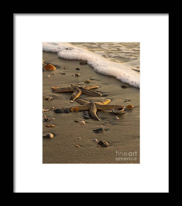 Beach Framed Print featuring the photograph Two Stars by Carrie Cranwill