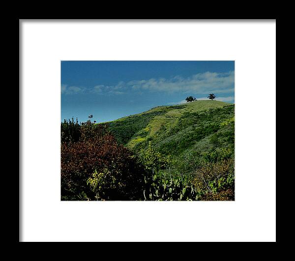 Nature Framed Print featuring the photograph Two Trees by Michael Gordon