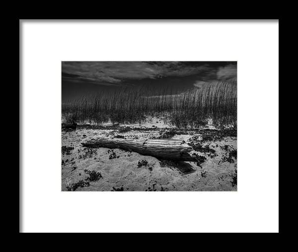 Tybee Island Framed Print featuring the photograph Tybee Island Driftwood 001 BW by Lance Vaughn