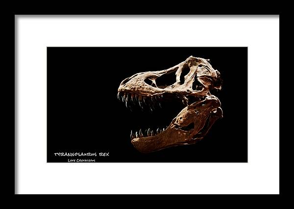 Tyrannosaurus Rex Skull Framed Print featuring the photograph Tyrannosaurus rex skull 4 by Weston Westmoreland