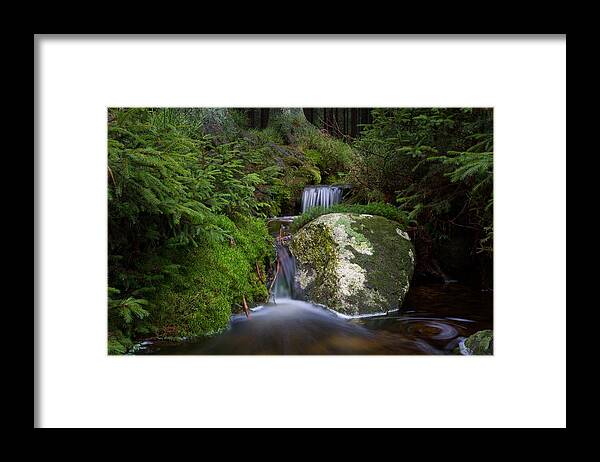 Nature Framed Print featuring the photograph Ulrichswasser, Harz by Andreas Levi