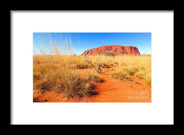 Uluru Ayers Rock Outback Australia Australian Landscape Central Northern Territory Framed Print featuring the photograph Central Australia by Bill Robinson