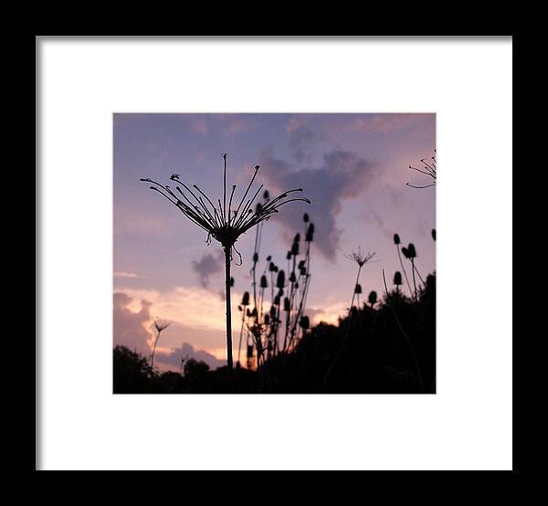 Umbrella Framed Print featuring the photograph Umbrella in the Wind 2 by Elizabeth Sullivan
