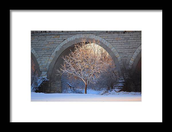 Sunrise Framed Print featuring the photograph Under the Bridge by Viviana Nadowski