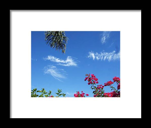 Bouganvillia Framed Print featuring the photograph Under the Palms by Steve Ondrus