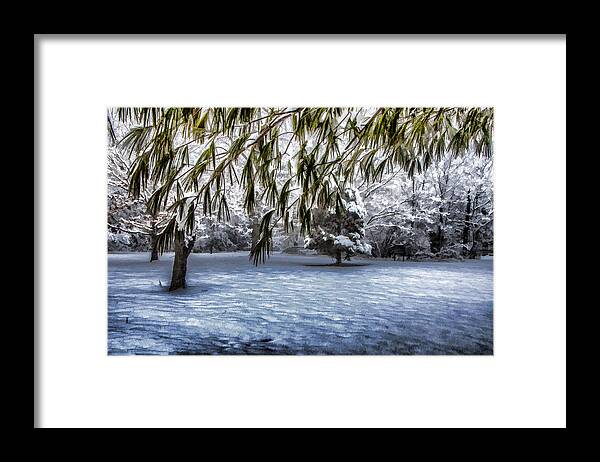 Snow Framed Print featuring the photograph Under The Pines by Cathy Kovarik
