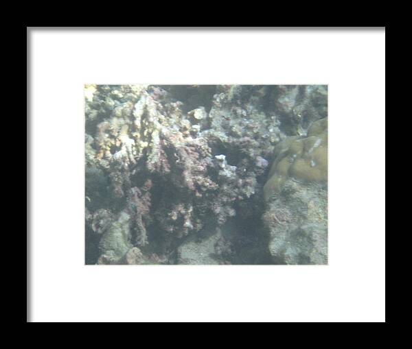 Phi Framed Print featuring the photograph Underwater - Long Boat Tour - Phi Phi Island - 011354 by DC Photographer