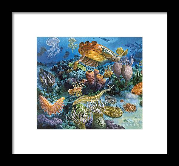 Illustration Framed Print featuring the photograph Underwater Paleozoic Landscape by Publiphoto