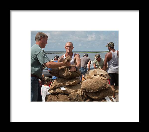 American Oyster Framed Print featuring the photograph Unloading Harvested Oysters by Jim West