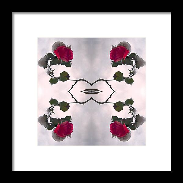 Kaleidoscopic Framed Print featuring the photograph Unnatural 80 by Giovanni Cafagna