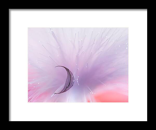 Pastel Framed Print featuring the photograph Untitled by Konstantin Selezenev