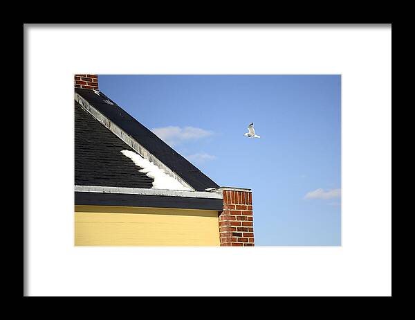 Seagull Framed Print featuring the photograph Up and Over by Corinne Rhode