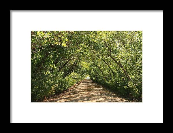 Driveway Framed Print featuring the photograph Up the Drive by Ellery Russell