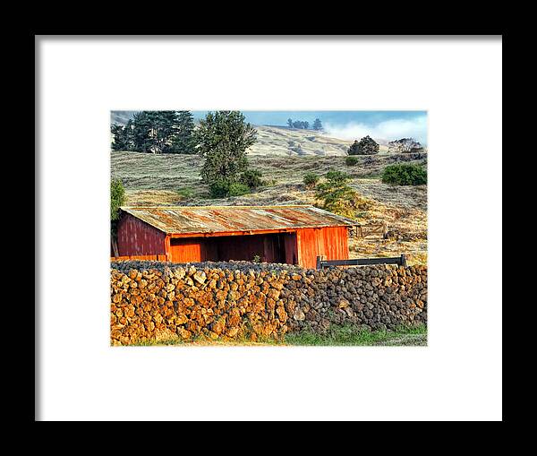 Hawaii Framed Print featuring the photograph Upcountry 15 by Dawn Eshelman