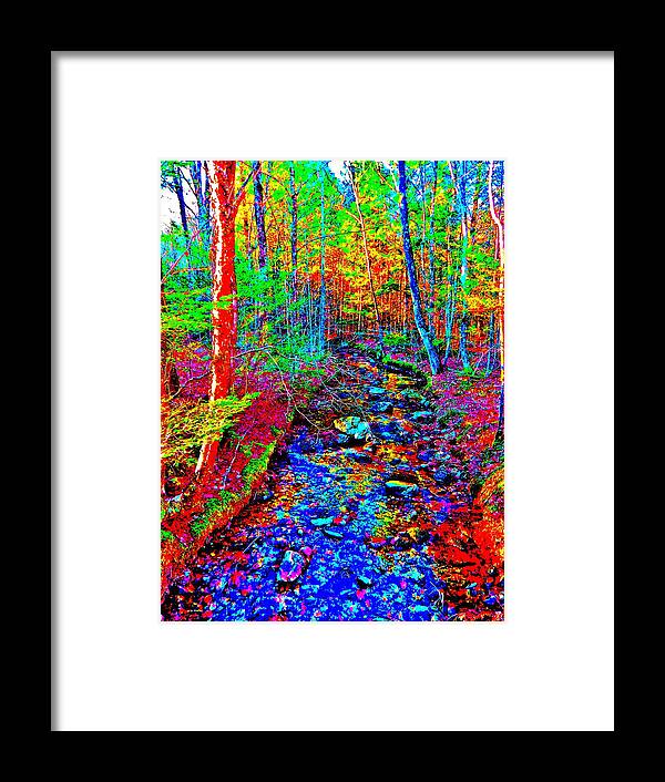 Landscape Framed Print featuring the photograph Upland Trail 2014 221 by George Ramos