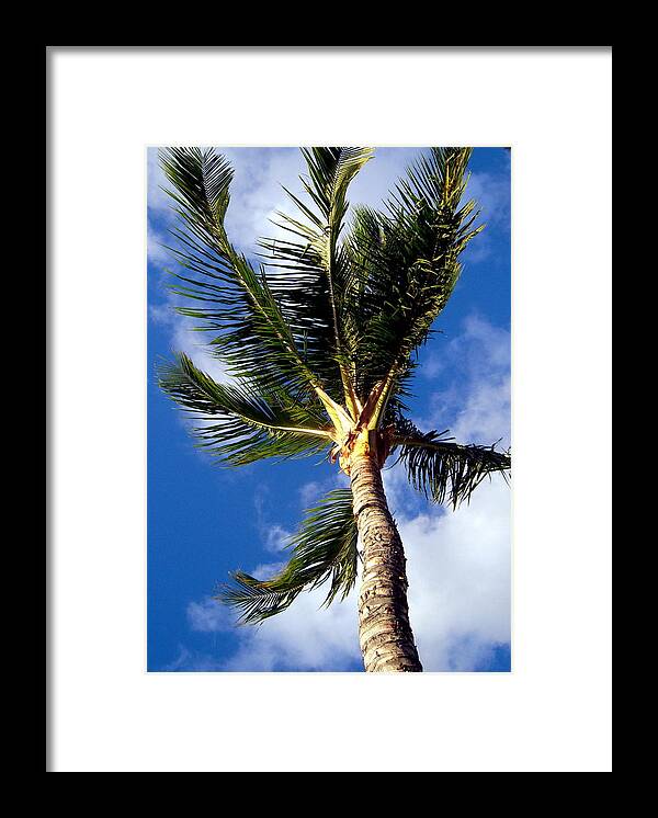 Hawaii Framed Print featuring the photograph Upward by Phillip Garcia