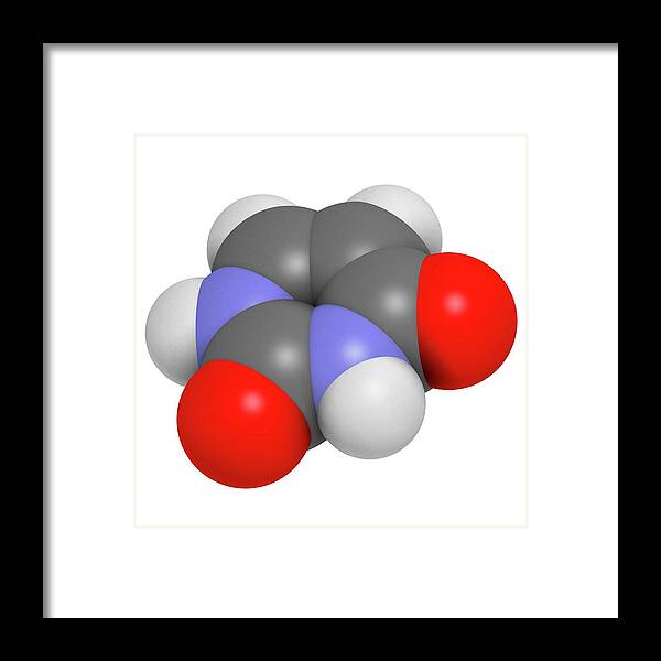 Uracil Framed Print featuring the photograph Uracil Nucleobase Molecule by Molekuul