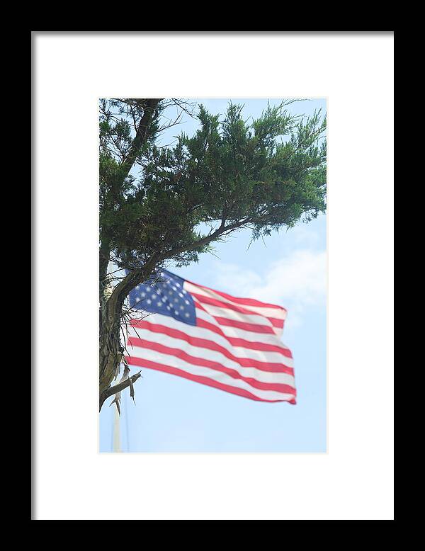 Flag Framed Print featuring the photograph US Flag and Tree by Cathy Lindsey
