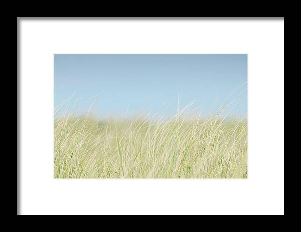 Tranquility Framed Print featuring the photograph Usa, Massachusetts, Nantucket, Dune by Chris Hackett