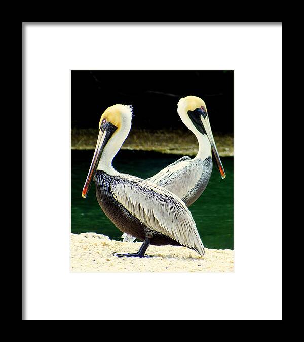 Birds Framed Print featuring the photograph Valentine Dance by Karen Wiles