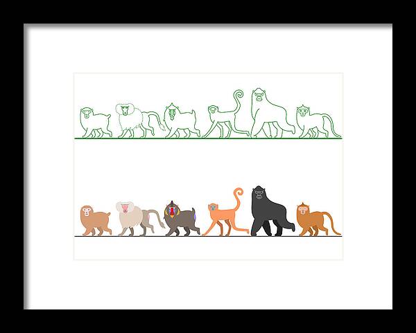 Pets Framed Print featuring the digital art Various Monkey Walking In A Row by Ayutaka