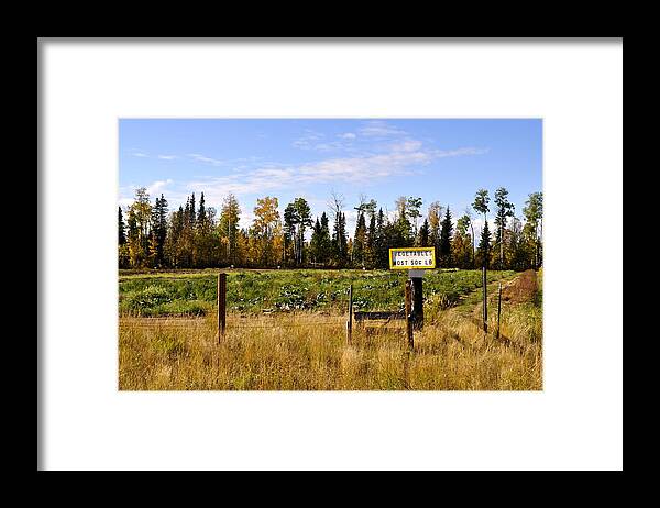 Fall Framed Print featuring the photograph Vegetables for Sale by Cathy Mahnke