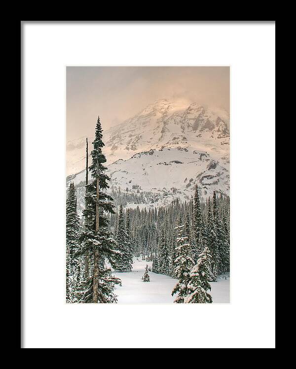 Mt Rainiermountainsnowglacierswinter Sceneevergreens Framed Print featuring the photograph Veiled Mountain by Jeff Cook