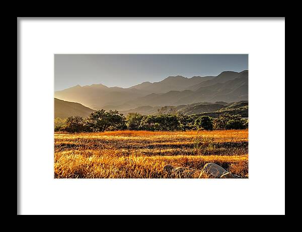 River Framed Print featuring the photograph Ventura River Preserve by Liz Vernand