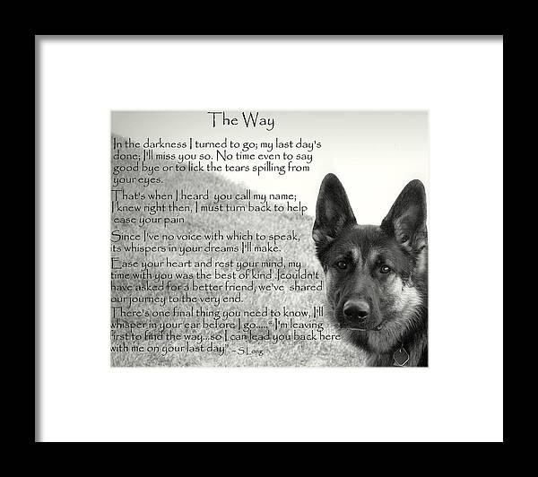 Quote Framed Print featuring the photograph version two The Way by Sue Long