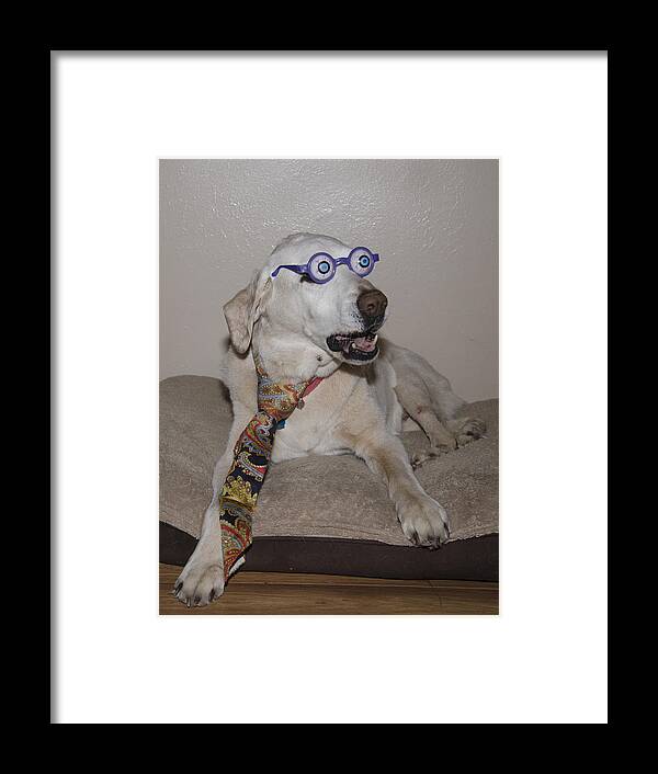 Pilsner Male Framed Print featuring the photograph Very Intelligent Dog by Irina ArchAngelSkaya