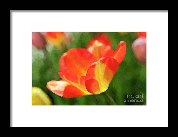 'happy Flowers' Framed Print featuring the photograph Vibrant Colorful Tulips by Linda Matlow